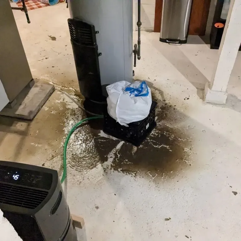 Sewage Backup Cleanup Service in Pennsburg, PA